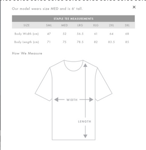 MTF - COTTON TEES MENS