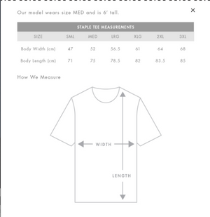 MTF Finance - COTTON TEES MENS